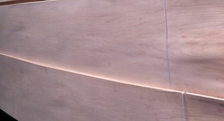 歐楓美楓木皮深受客戶歡迎！